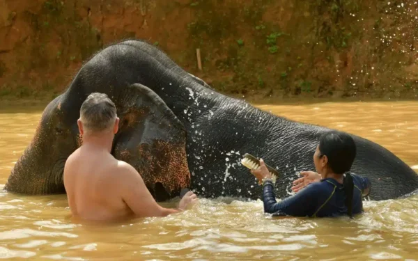 Phuket Easy GO H Package