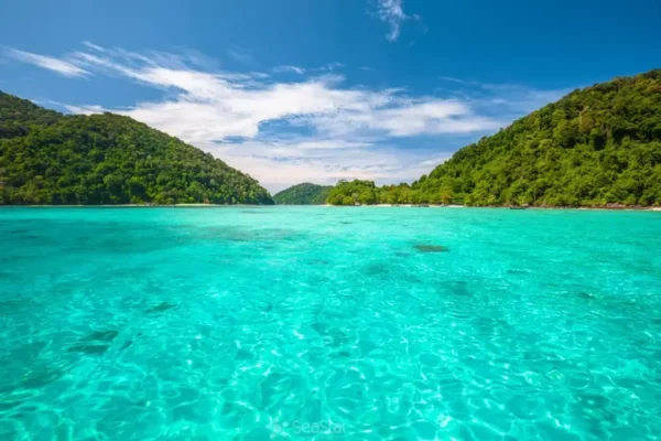 Surin Island by Speed Boat